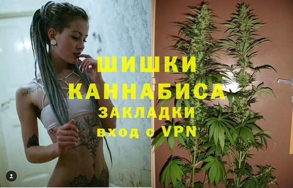 ALPHA-PVP Инсар